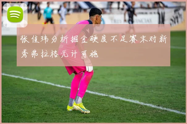 张佳玮分析掘金硬度不足赛末对新秀弗拉格无计可施